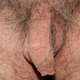 The penis of Pope Benedict XVI.